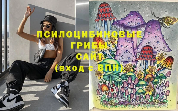 мяу мяу мука Абдулино
