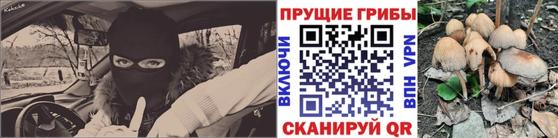 купить наркотики цена Хилок Псилоцибиновые грибы Magic Shrooms
